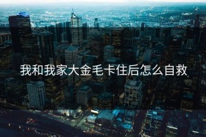 我和我家大金毛卡住后怎么自救